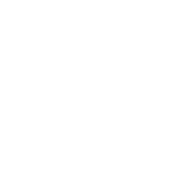 樽生ワイン×前菜