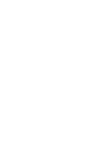 加えた独創性